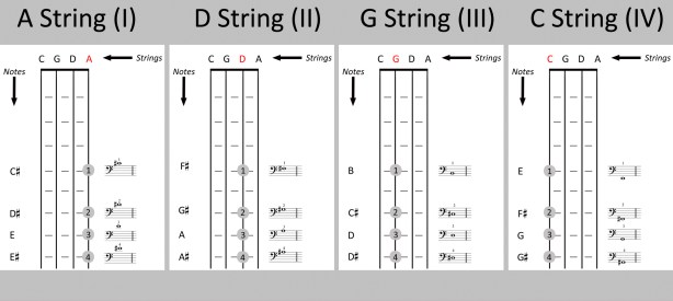 Click to view enlarged image (new window)