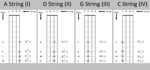 cello position diagram – The Cello Companion